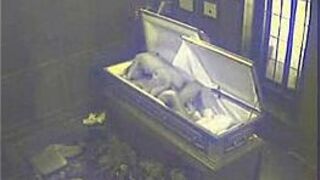 Sex coffin porn video